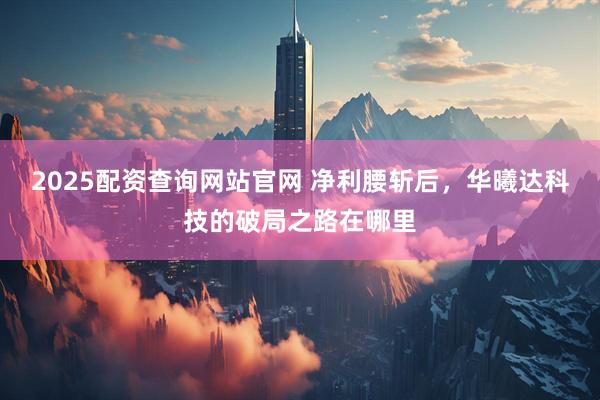 2025配资查询网站官网 净利腰斩后，华曦达科技的破局之路在哪里